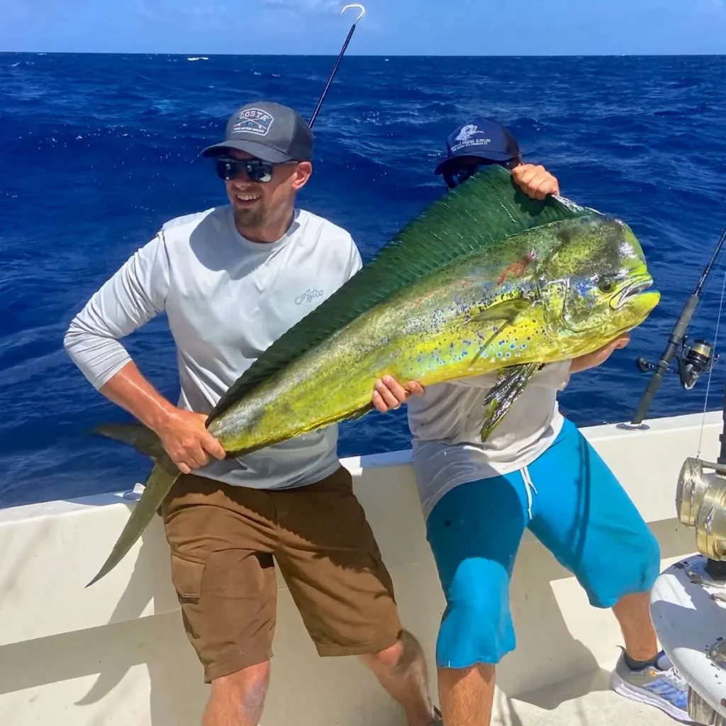 mahi mahi caught on st thomas fishing charter